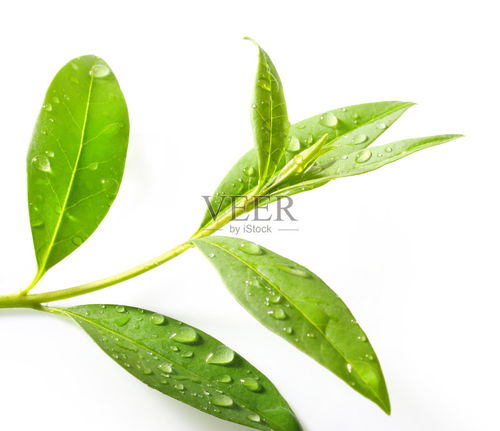攝影圖片
