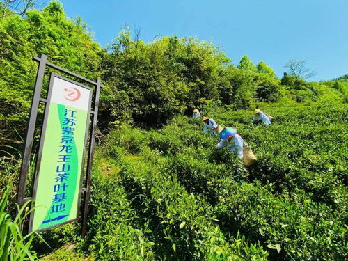 2021聚 惠 黃山