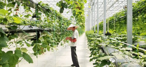 皇朝家私來徐州了 投資30億