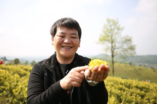 十年磨一劍, 黃紅纓 終于登上 中國品牌 這個大舞臺