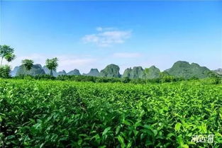英德,你變了