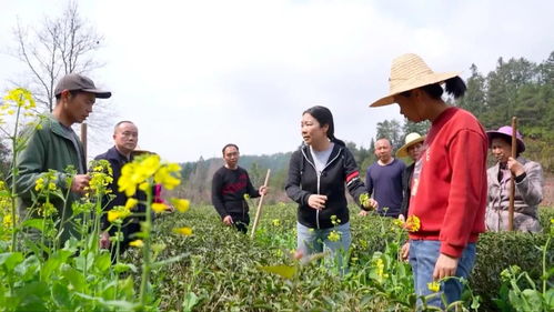 新華社 走近武夷山科技特派員 把論文寫(xiě)在田野大地上