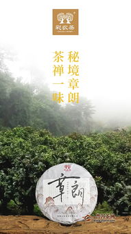 彩農(nóng)茶秘境章朗,茶禪一味