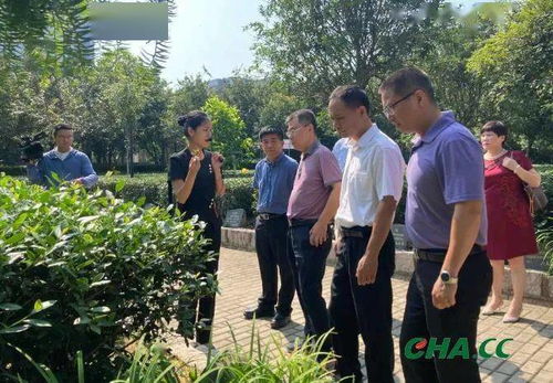 福建省委宣傳部一行蒞臨八馬茶業(yè)調(diào)研指導(dǎo)