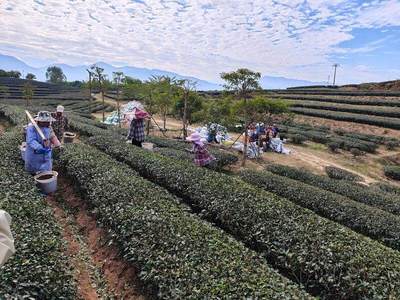 惠報深度丨惠州高端種植業如何走好上坡路?