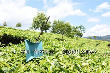 茶葉耐不耐泡和什么有關,茶葉耐不耐泡